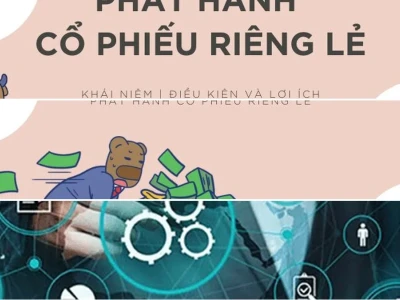 Phát Hành Cổ Phiếu Riêng Lẻ Là Gì? Cơ Hội Hay Rủi Ro Cho Nhà Đầu Tư?