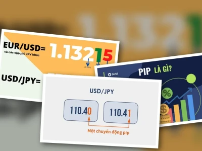 Pip Trong Forex Là Gì? Hé Lộ Góc Khuất Ít Ai Ngờ Tới
