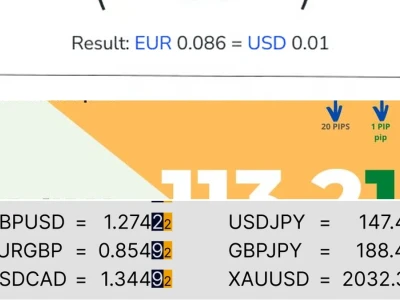 Pip Value Calculator: Công cụ Sinh tử hay Chỉ là Ảo ảnh?