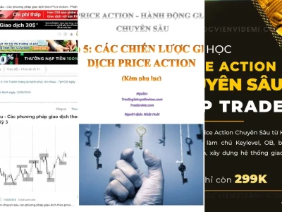 Price Action Chuyên Sâu: Bóc Trần Sự Thật Đằng Sau Biến Động Giá