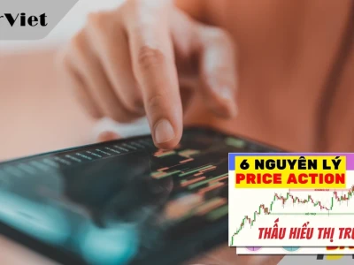 Price Action Nâng Cao: Bí Mật Đằng Sau Hành Động Giá Thuần Túy?