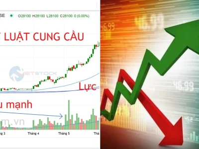 Quy luật Tăng Giảm Cổ phiếu: Hiểu Đúng Để Không Mất Tiền