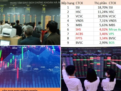 Sàn Chứng Khoán Lớn Nhất Việt Nam: Hé Lộ Sự Thật Đằng Sau Các 'Gã Khổng Lồ'