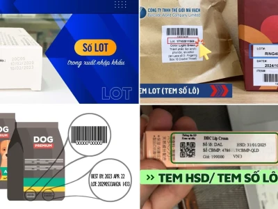 Số Lot Là Gì Tại Sao Quan Trọng Trong Xuất Nhập Khẩu?