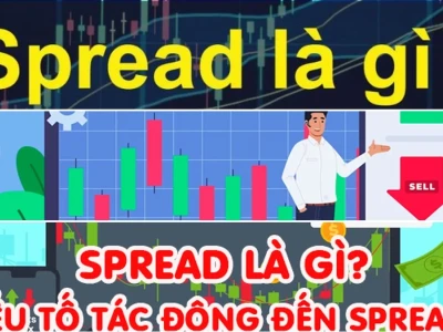 Spread Trong Chứng Khoán Là Gì? Lời Giải Đáp Gai Góc Cho Nhà Đầu Tư Mới