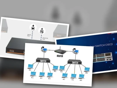 Sw Trong Chứng Khoán Là Gì Góc Nhìn Gai Góc Của Chuyên Gia