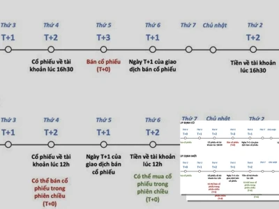 T2.5 Chứng khoán Sự thật ẩn giấu và Lời giải Nguy hiểm
