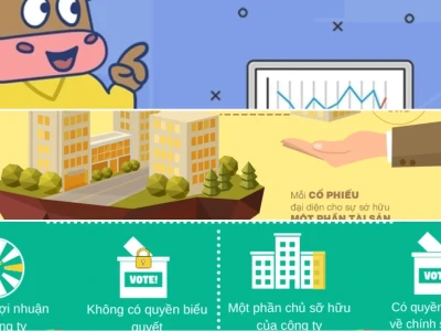 Thế Nào Là Cổ Phiếu Giải Mã Toàn Diện Từ Chuyên Gia