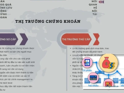Thị trường Chứng khoán Bao gồm Thị trường Nào Các Thành phần Chính Cần Biết