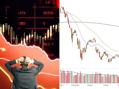 Thị Trường Chứng Khoán Giảm Mạnh: Đâu Là Lời Giải Cho Cơn Bão Xả Hàng?