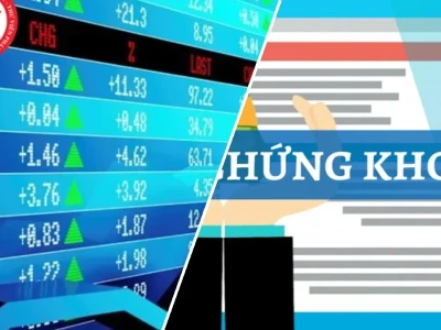 Thị trường Chứng khoán là gì? Giải mã Lợi ích và Cạm bẫy Ngầm