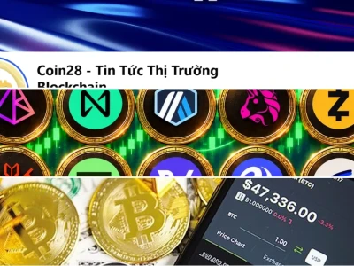 Thông Tin Coin Toàn Cảnh 2026: Đâu Là Cơ Hội Thực Sự?
