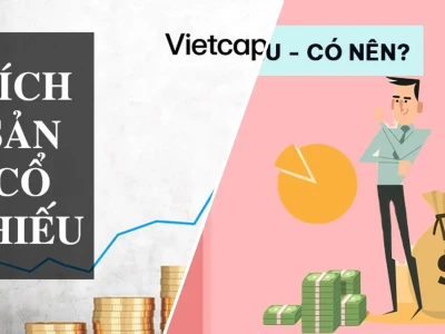 Tích Sản Cổ Phiếu Là Gì? Phá Vỡ Lầm Tưởng Cho Người Trẻ 15 Triệu/Tháng