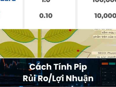 Tính Lot Medio: Công Cụ Quyết Định Sự Sống Còn Trong Giao Dịch Forex 2026