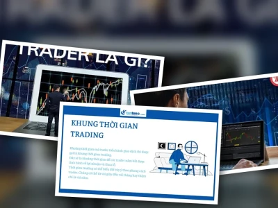 Trade Là Nghề Gì? Sự Thật Đằng Sau Công Việc "Đầu Cơ" Đầy Biến Động