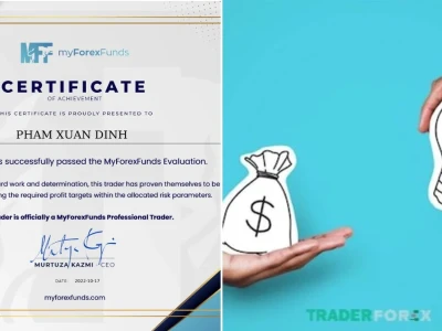 Trade Quỹ Là Gì Phanh Phui Bí Mật Và Lời Khuyên Cho Trader