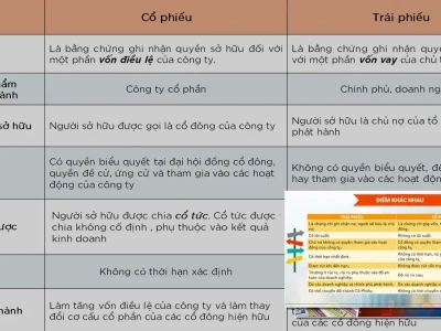 Trái Phiếu và Cổ Phiếu Khác Nhau Như Thế Nào? Phân Tích Gai Góc