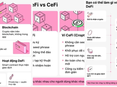 Ví DeFi Là Gì? Sự Thật Gai Góc Đằng Sau Tiền Mã Hóa Phi Tập Trung