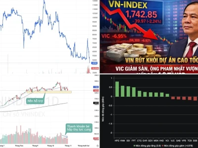 Vì Sao Cổ Phiếu VIC Giảm Mạnh? Phân Tích Sâu Từ Chuyên Gia