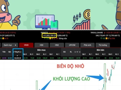 Vol Là Gì Trong Chứng Khoán Thực Hư Ra Sao