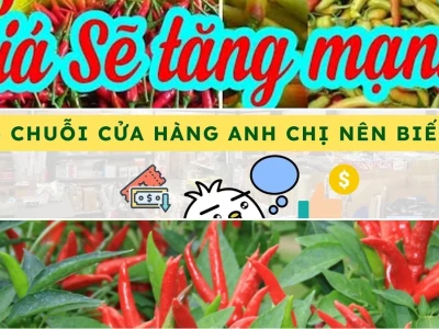 Xem giá cà phê ngày hôm nay: Bí ẩn đằng sau những con số gây sốc