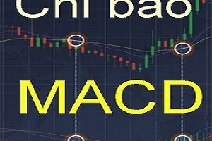 MOVING AVERAGE CONVERGENCE/DIVERGENCE (MACD)