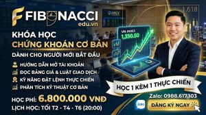 Khóa học chứng khoán cơ bản